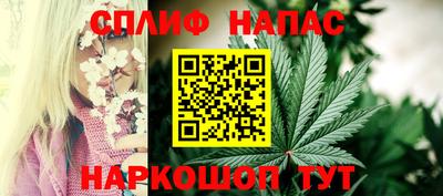 шишки Владикавказ