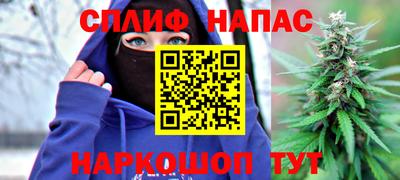 шишки Владикавказ