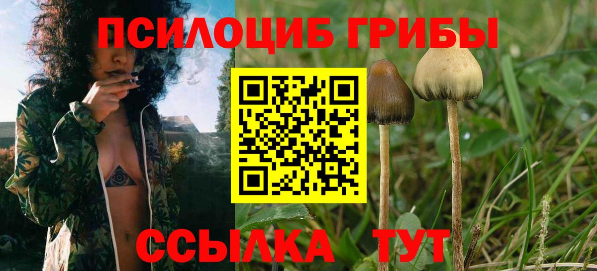Псилоцибиновые грибы MAGIC MUSHROOMS Муравленко