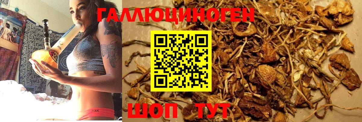 Муравленко  Псилоцибиновые грибы мухоморы  Псилоцибиновые грибы прущие грибы  Вход с VPN 